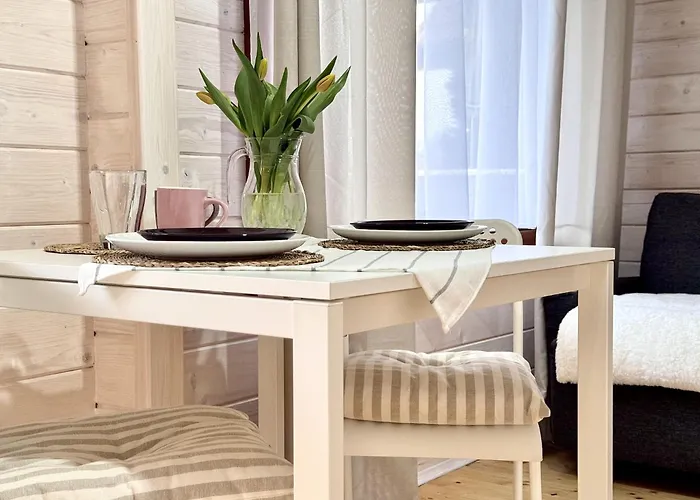 Daire I Marea Debina *